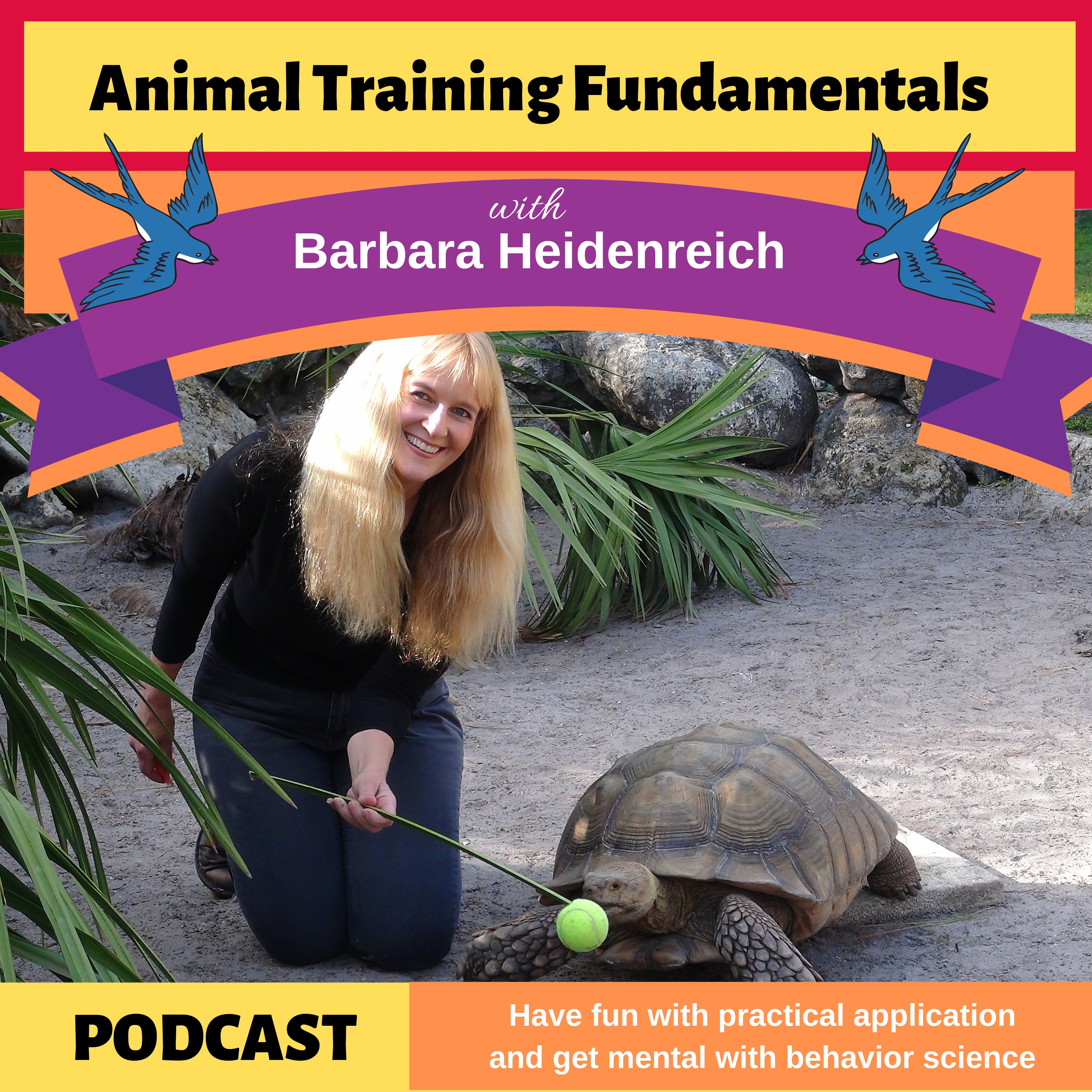 Target Training A Complex “Basic” Behavior Animal Training Fundamentals